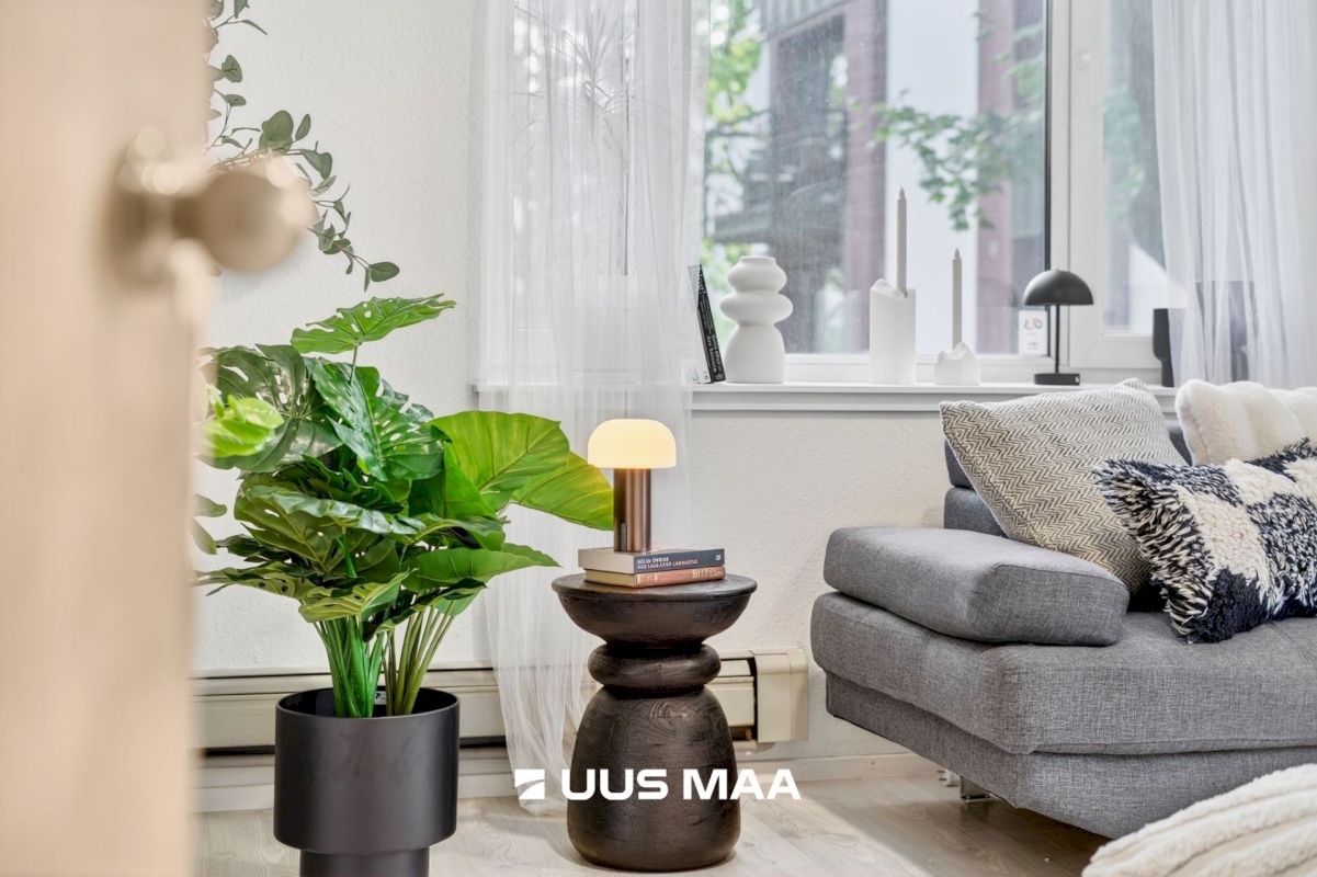 Tallinn, Kesklinna linnaosa, Uus Maailm, Endla tn 29