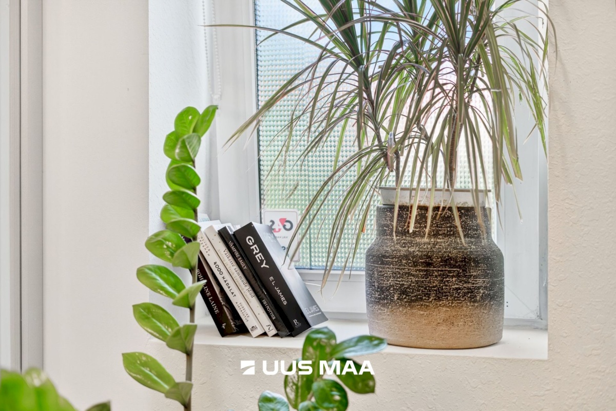 Tallinn, Kesklinna linnaosa, Uus Maailm, Endla tn 29