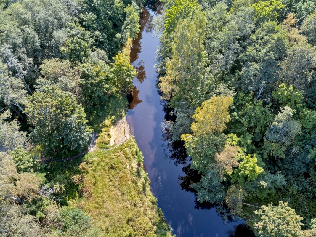 Harku vald, Türisalu küla, Pärnasalu tee 34