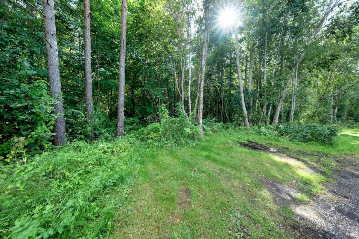 Harku vald, Türisalu küla, Pärnasalu tee 34