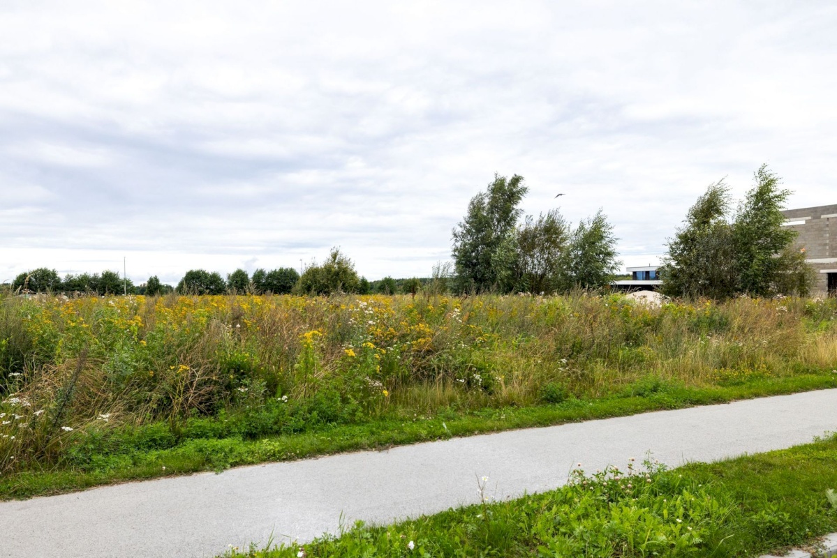 Harku vald, Tiskre küla, Pärna tee 12