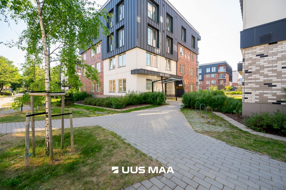 Tallinn, Kesklinna linnaosa, Pille 9/1