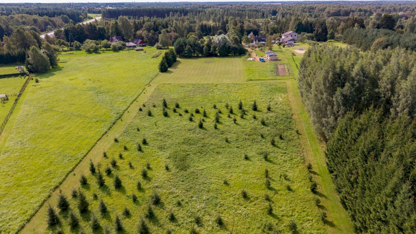 Tartu vald, Võibla küla, Põdra