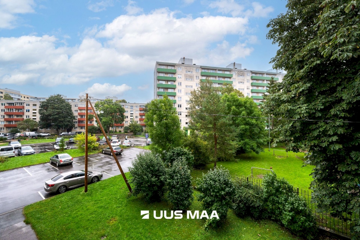 Tallinn, Lasnamäe linnaosa, Pae, Pae 52