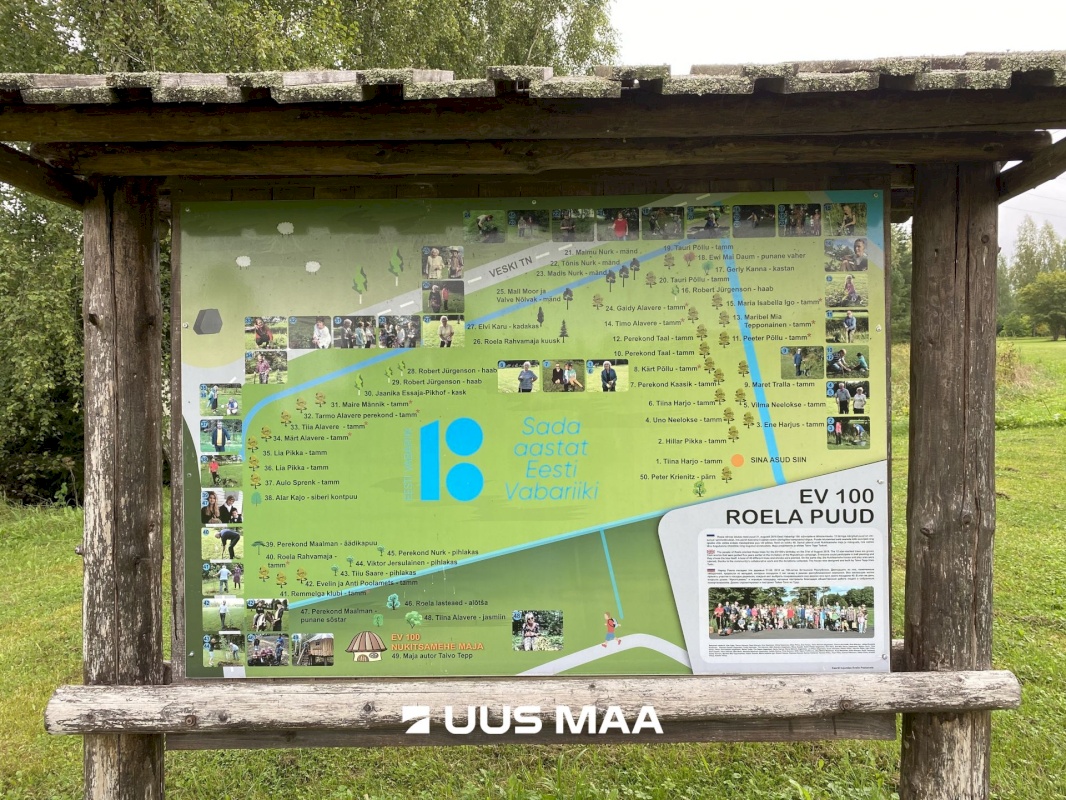 Vinni vald, Roela alevik, Järve 4