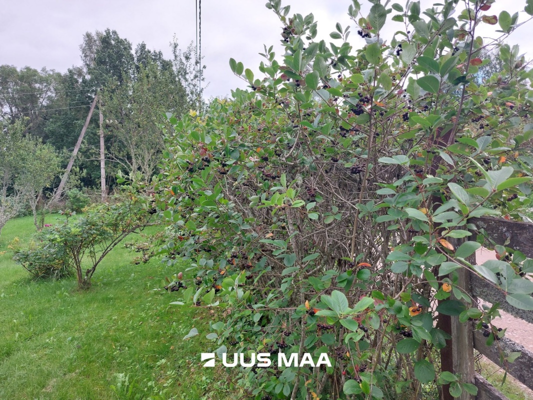 Viljandi vald, Sultsi küla, Sultsioru vkt 1