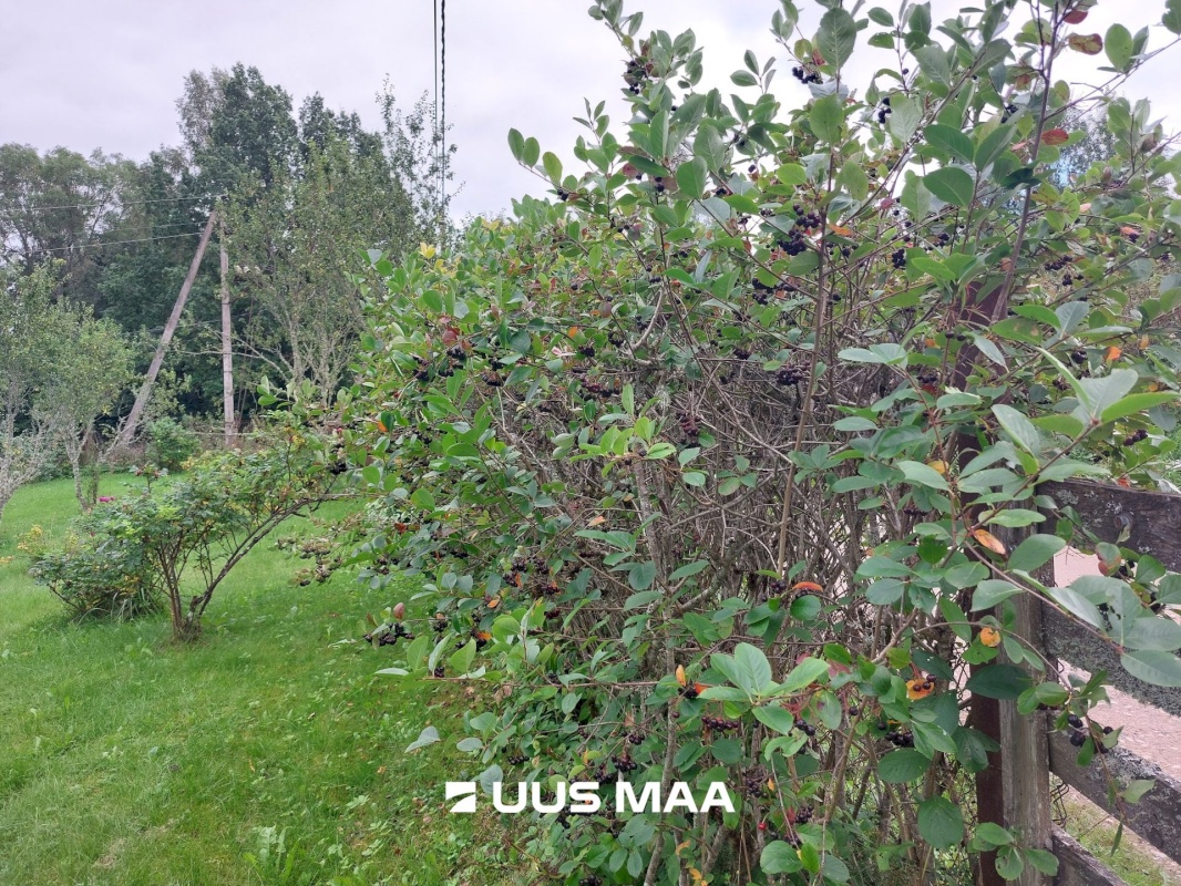 Viljandi vald, Sultsi küla, Sultsioru vkt 1