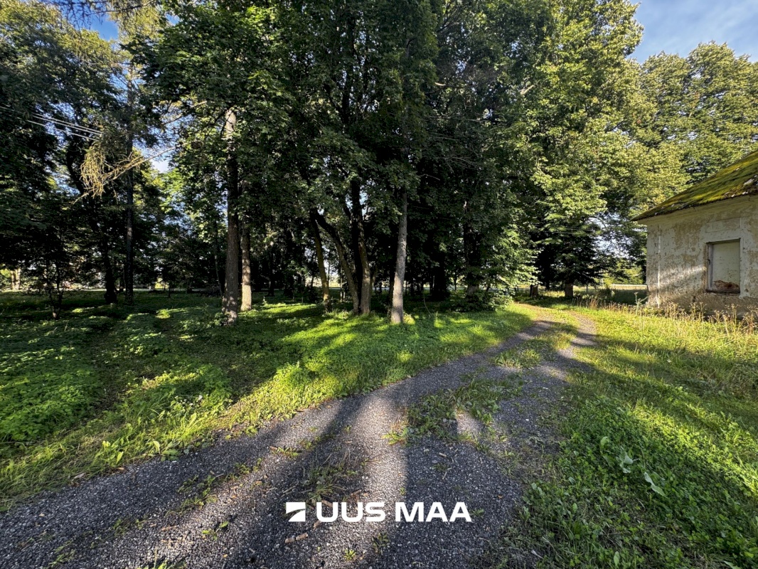 Haljala vald, Põdruse küla