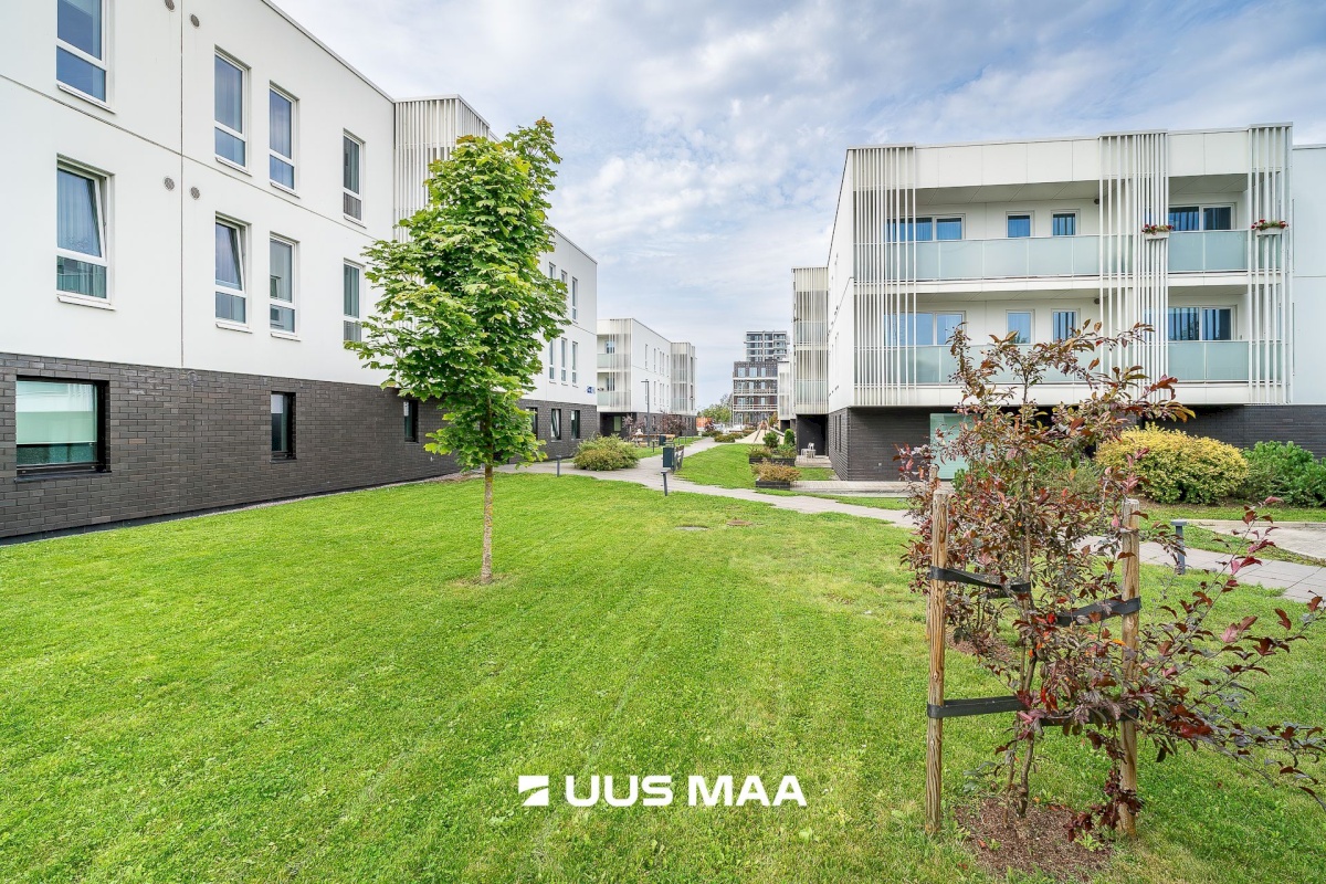 Tallinn, Kristiine linnaosa, Lilleküla, Algi 59/4