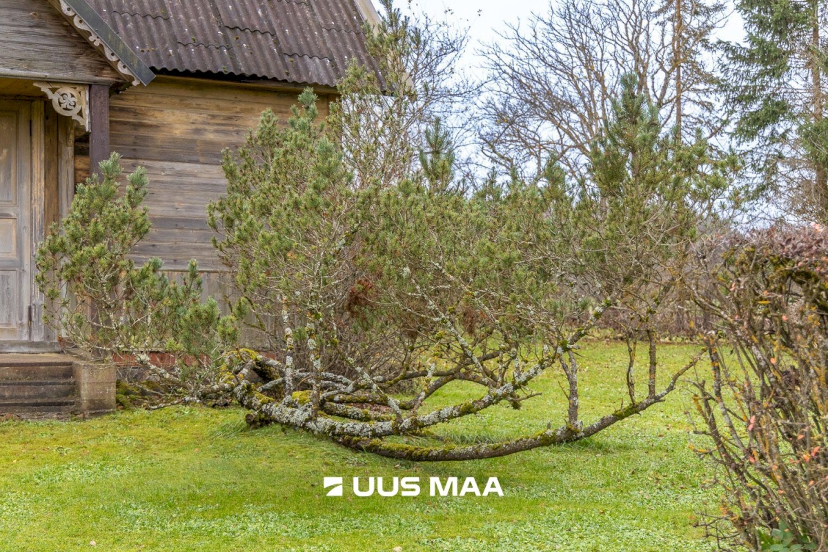 Räpina vald, Sülgoja küla, Trangi