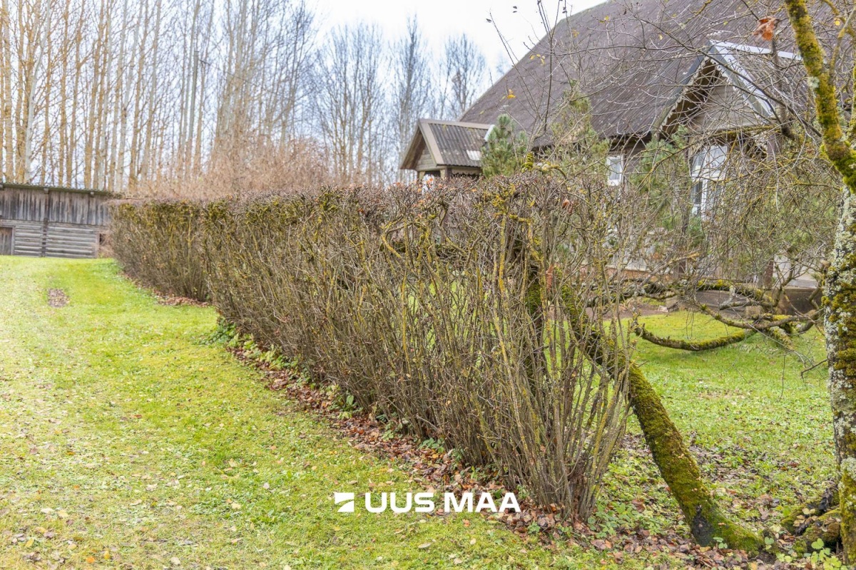 Räpina vald, Sülgoja küla, Trangi