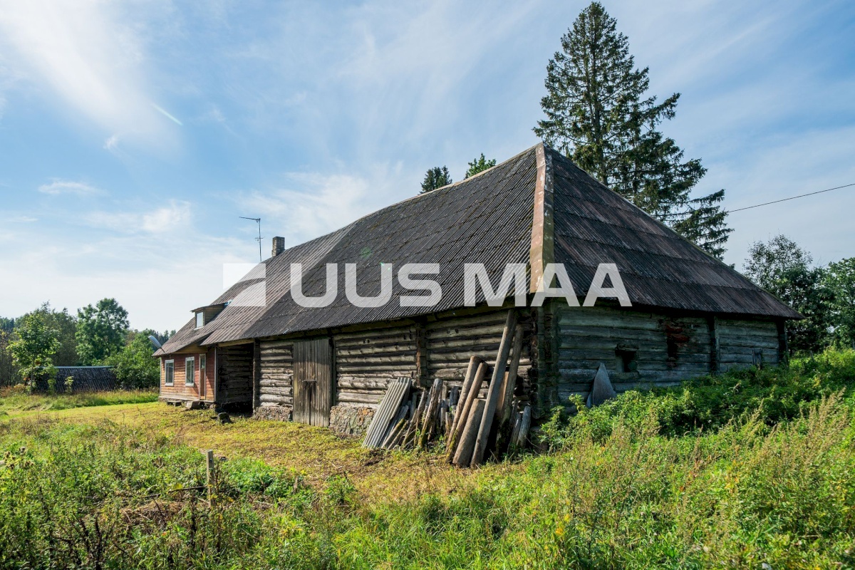 Otepää vald, Nüpli küla