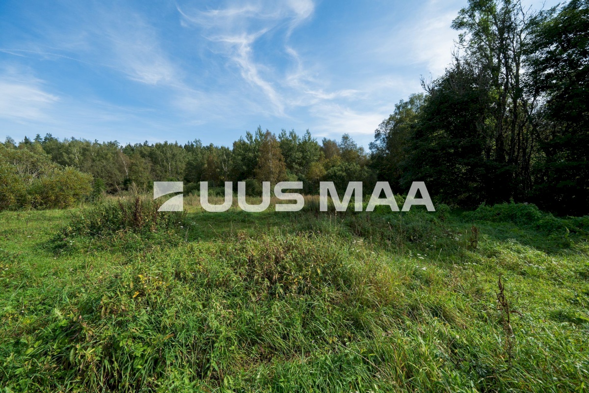 Otepää vald, Nüpli küla
