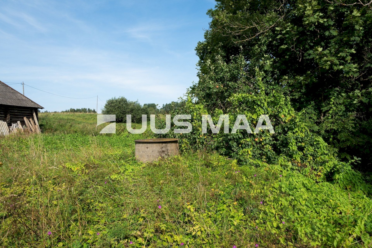 Otepää vald, Nüpli küla