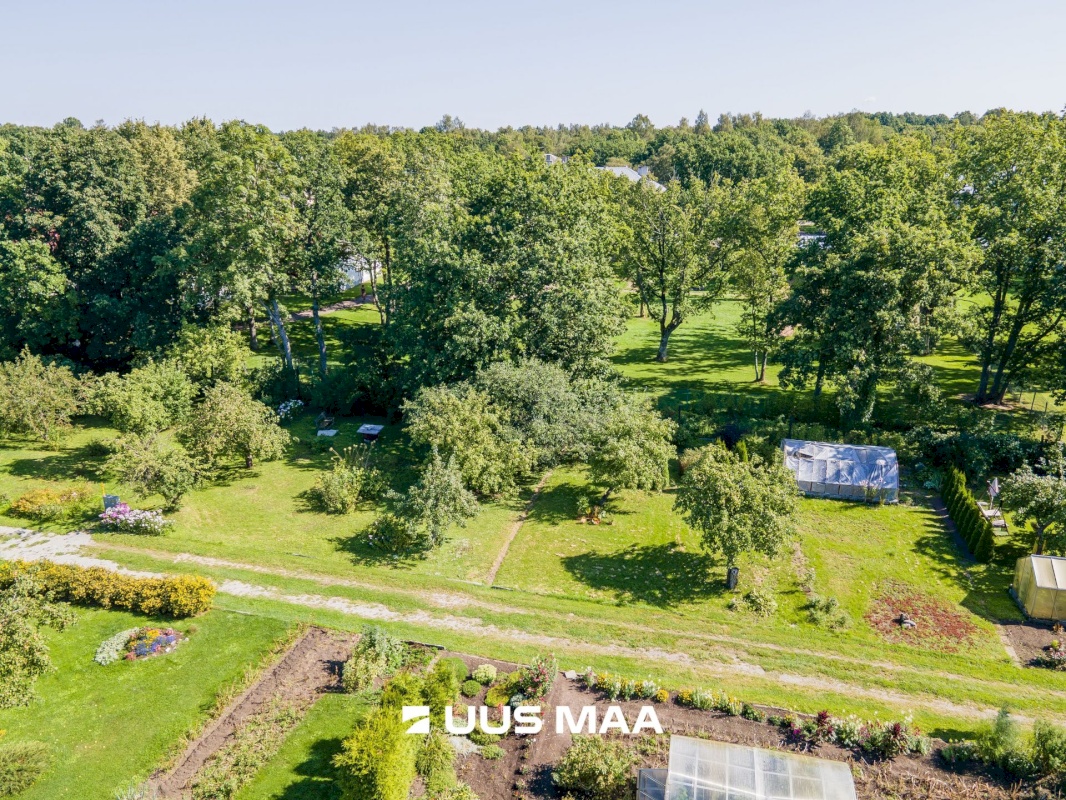 Saaremaa vald, Aste alevik, Aste AÜ 49,  Aste AÜ 57