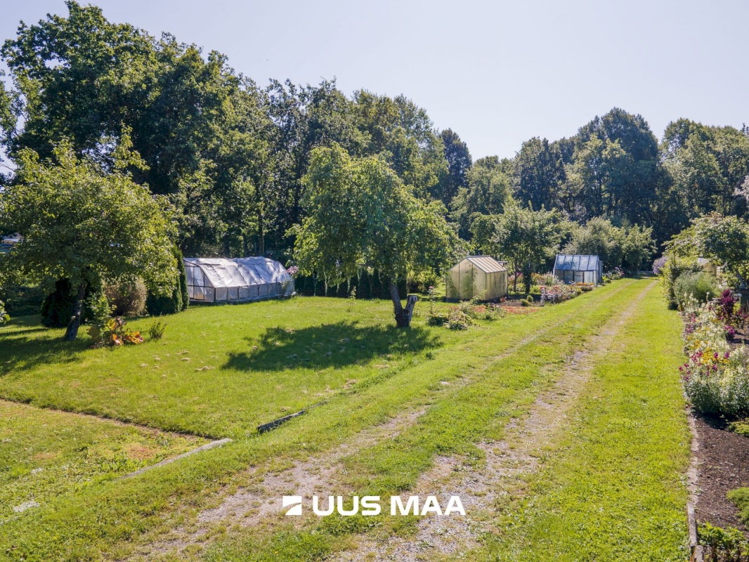 Saaremaa vald, Aste alevik, Aste AÜ 49,  Aste AÜ 57