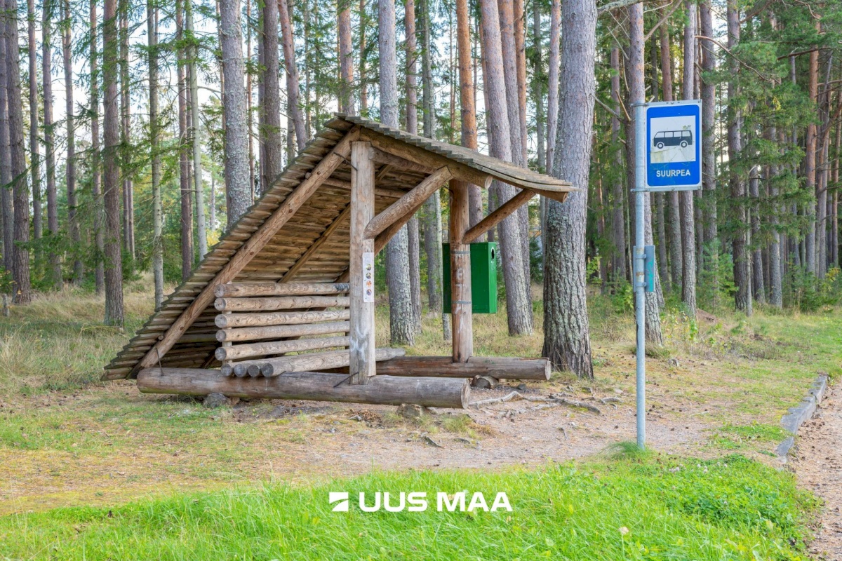 Kuusalu vald, Suurpea küla, Lahe põik 2
