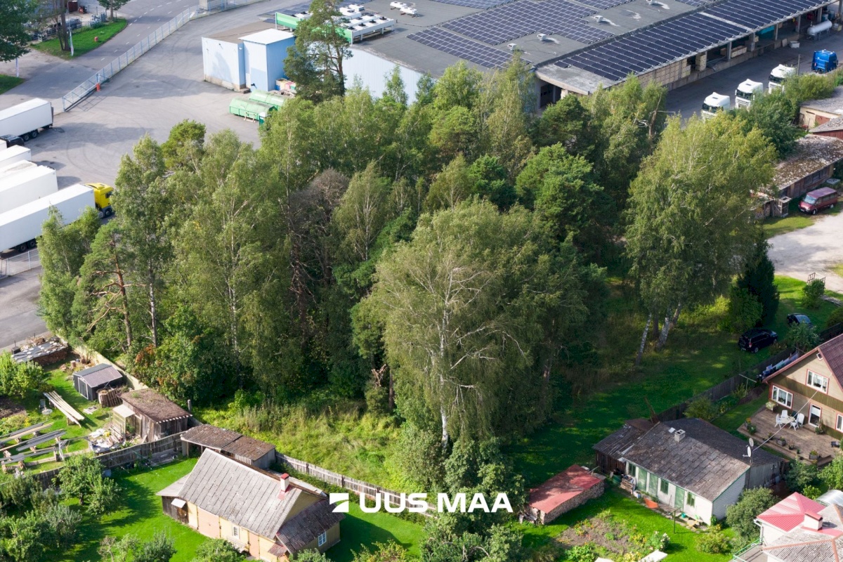 Haapsalu linn, Haapsalu linn, Aida 6