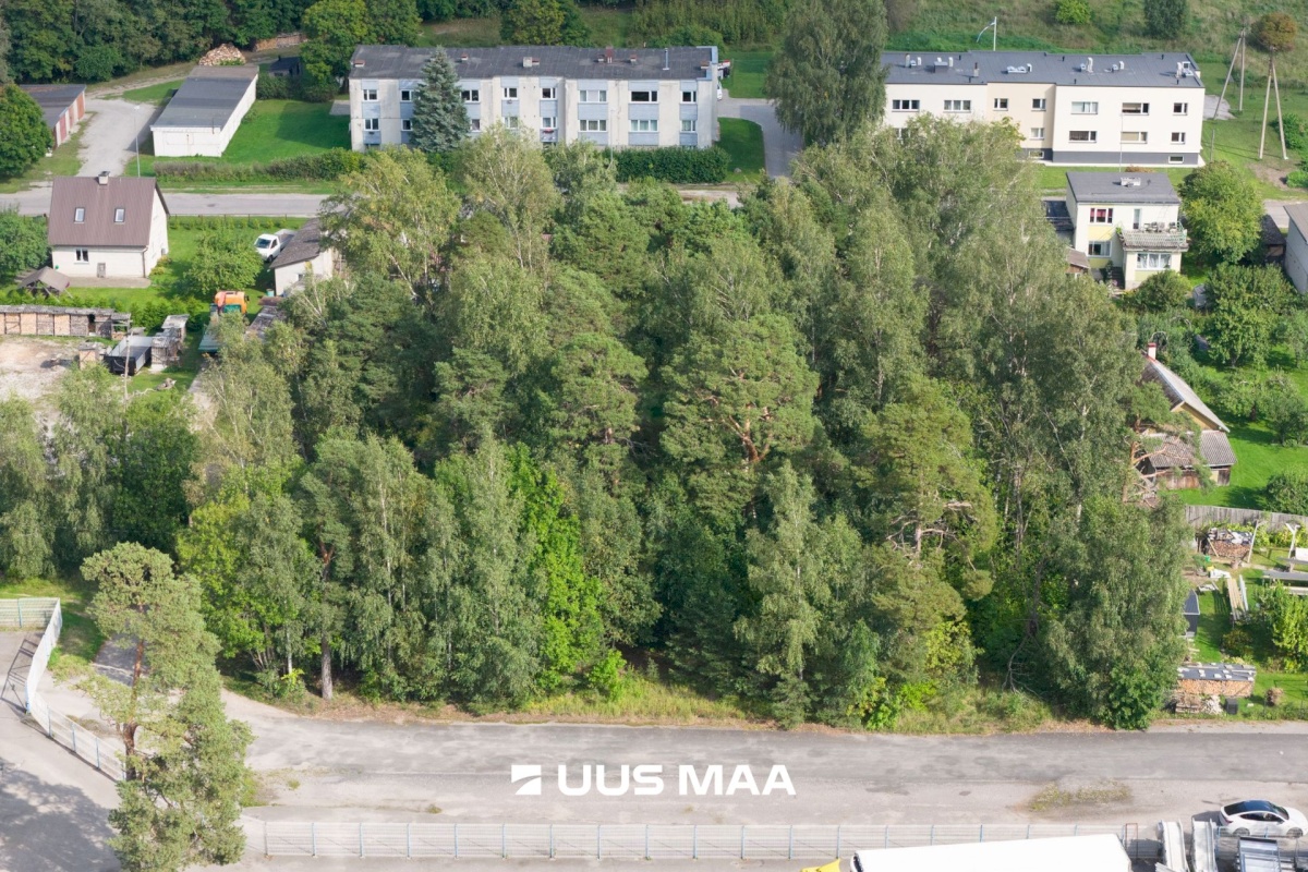 Haapsalu linn, Haapsalu linn, Aida 8