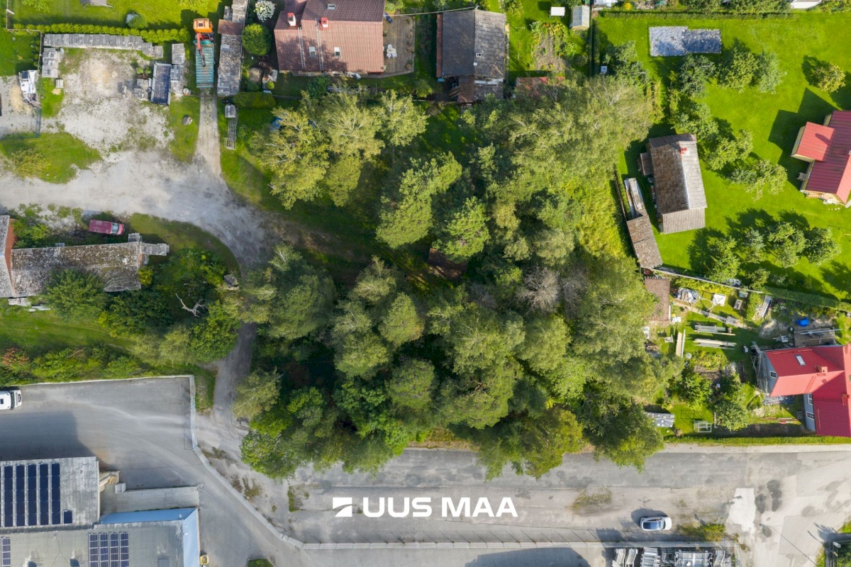 Haapsalu linn, Haapsalu linn, Aida 8