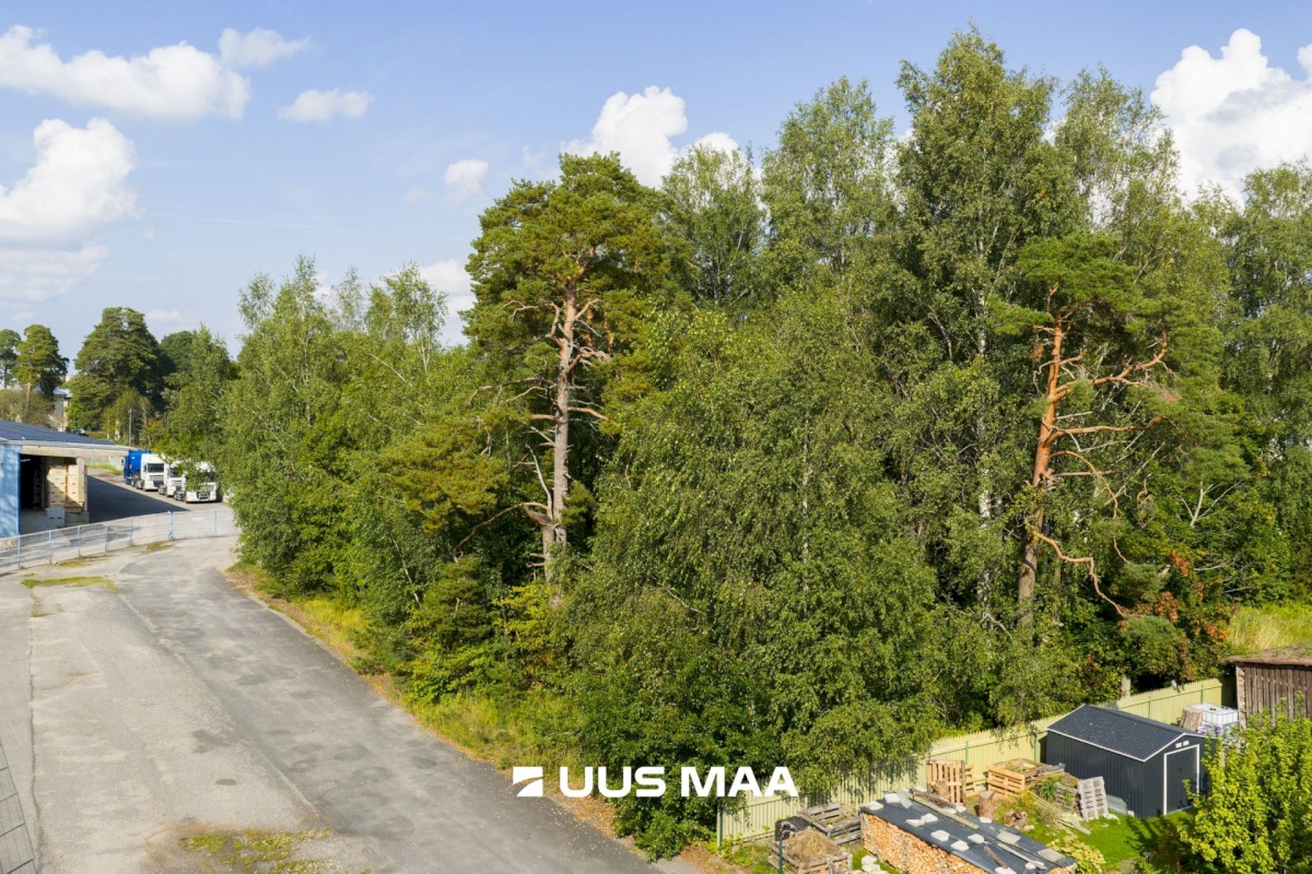Haapsalu linn, Haapsalu linn, Aida 8