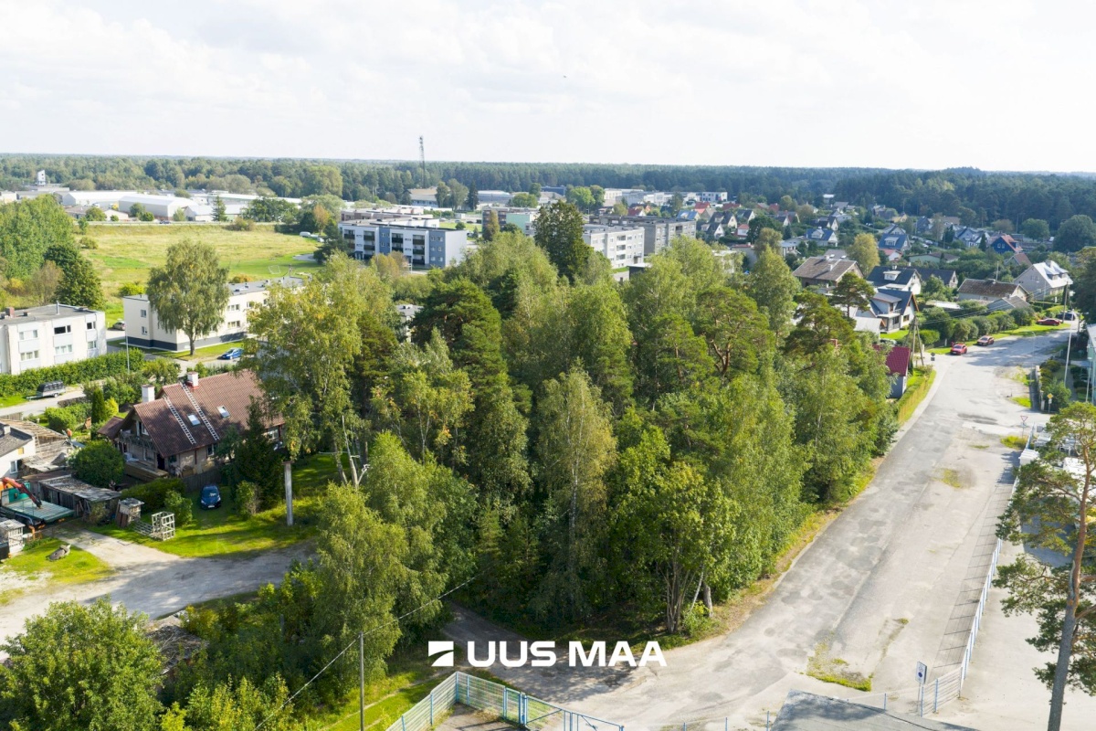 Haapsalu linn, Haapsalu linn, Aida 8