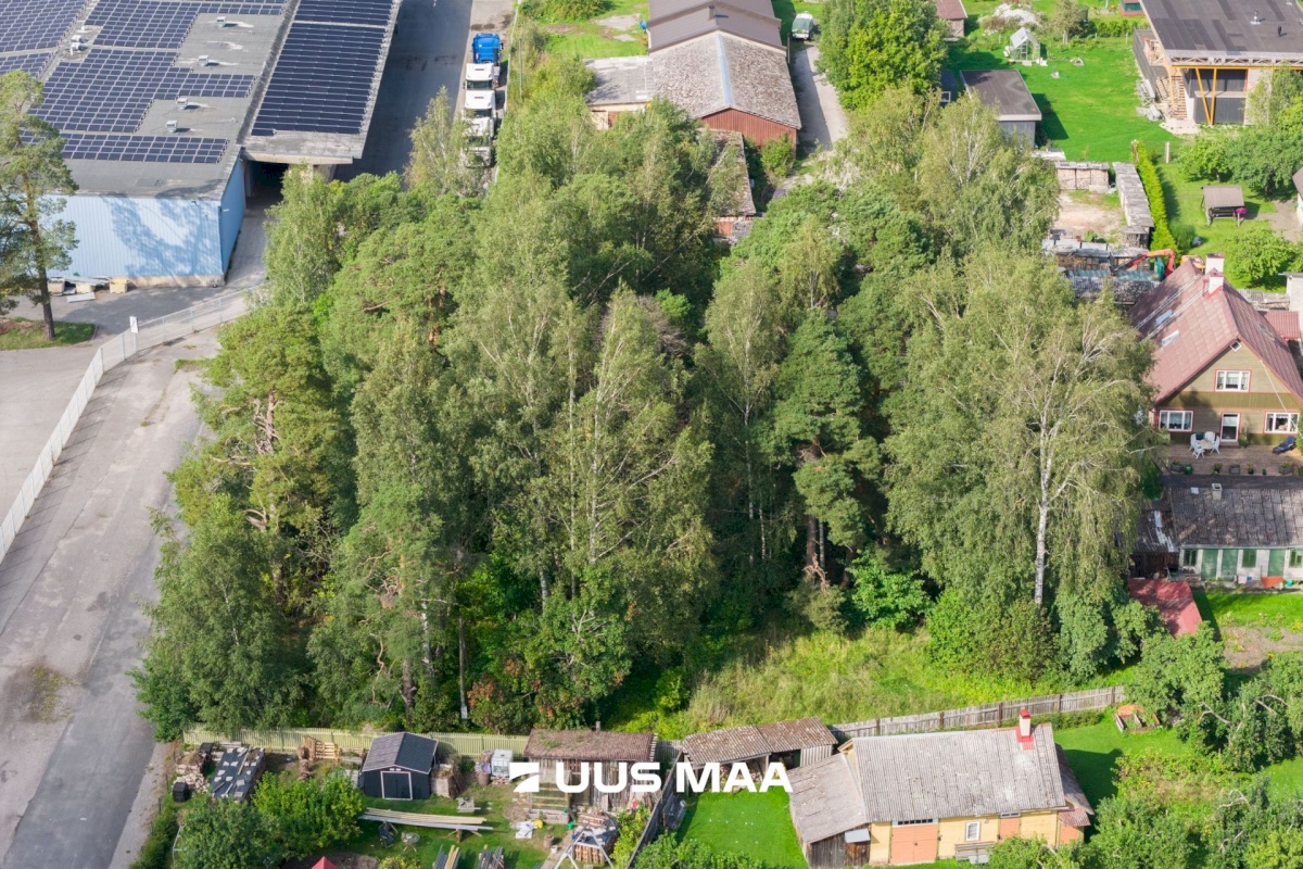 Haapsalu linn, Haapsalu linn, Aida 8