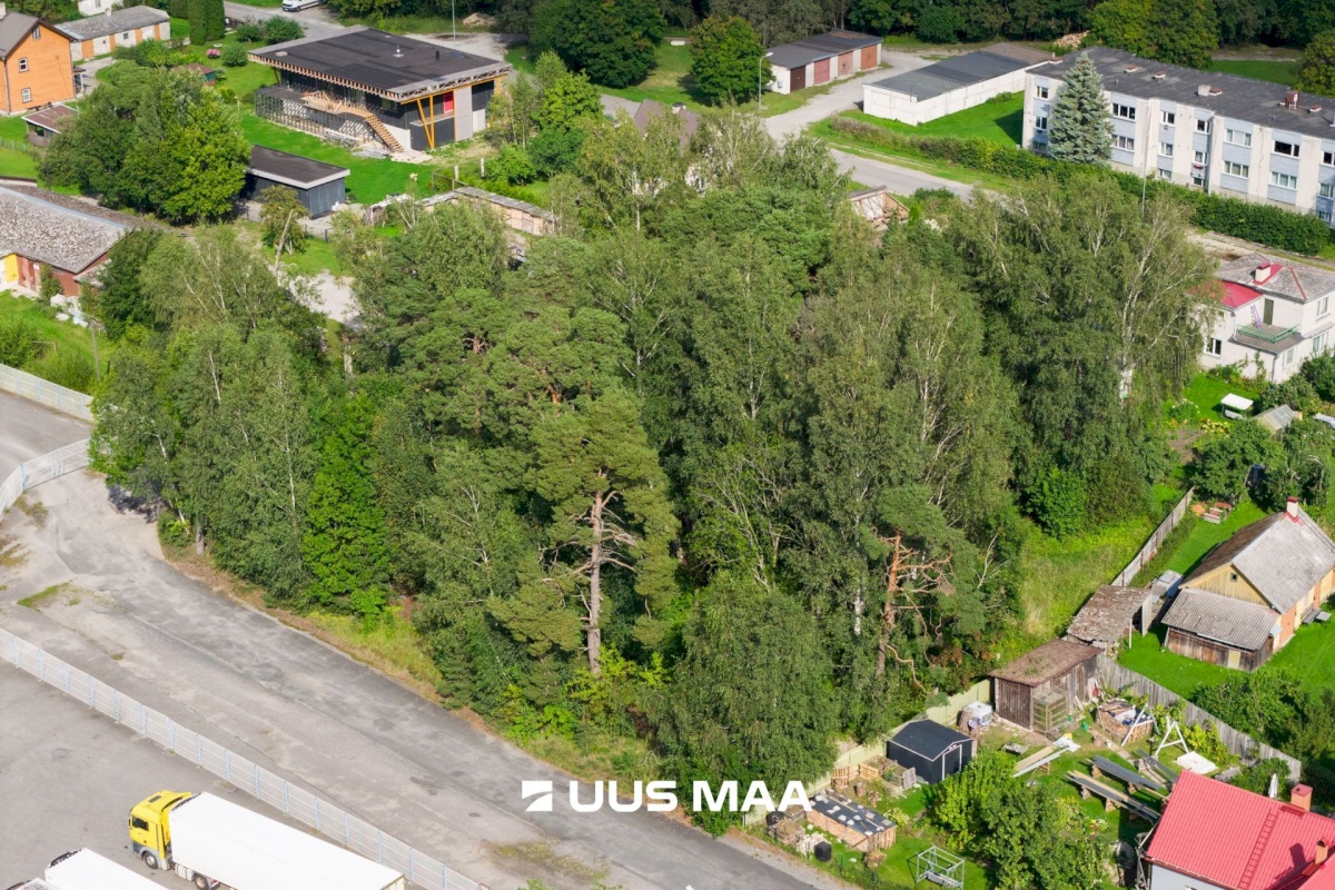Haapsalu linn, Haapsalu linn, Aida 8