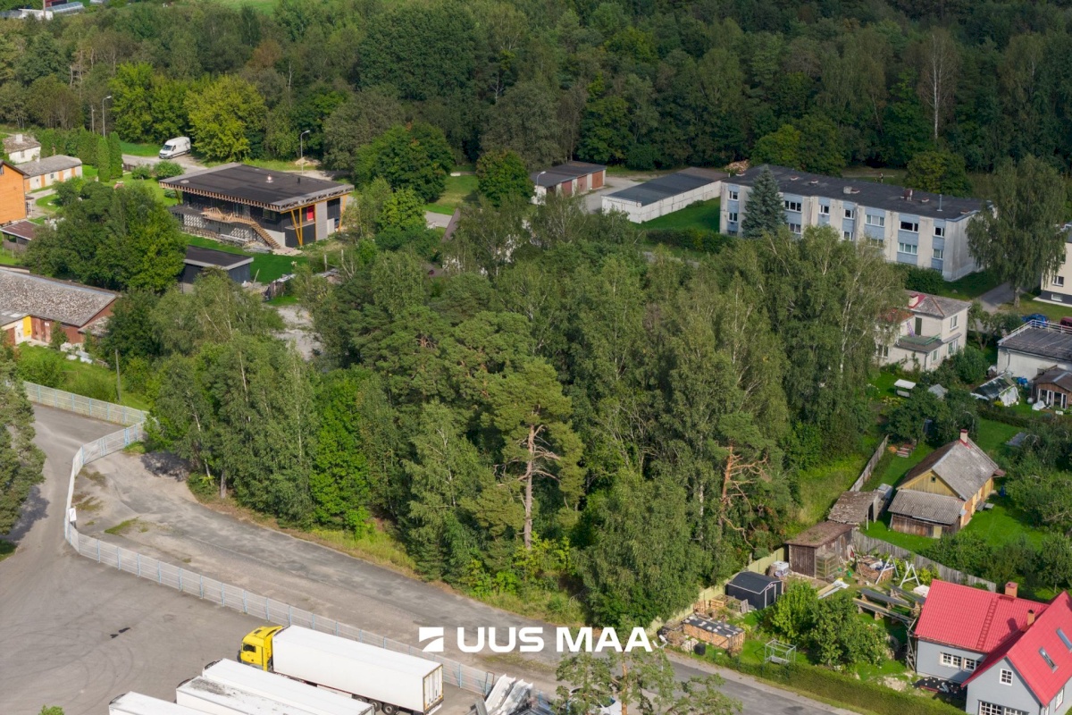 Haapsalu linn, Haapsalu linn, Aida 8