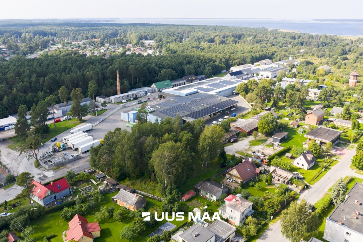 Haapsalu linn, Haapsalu linn, Aida 8