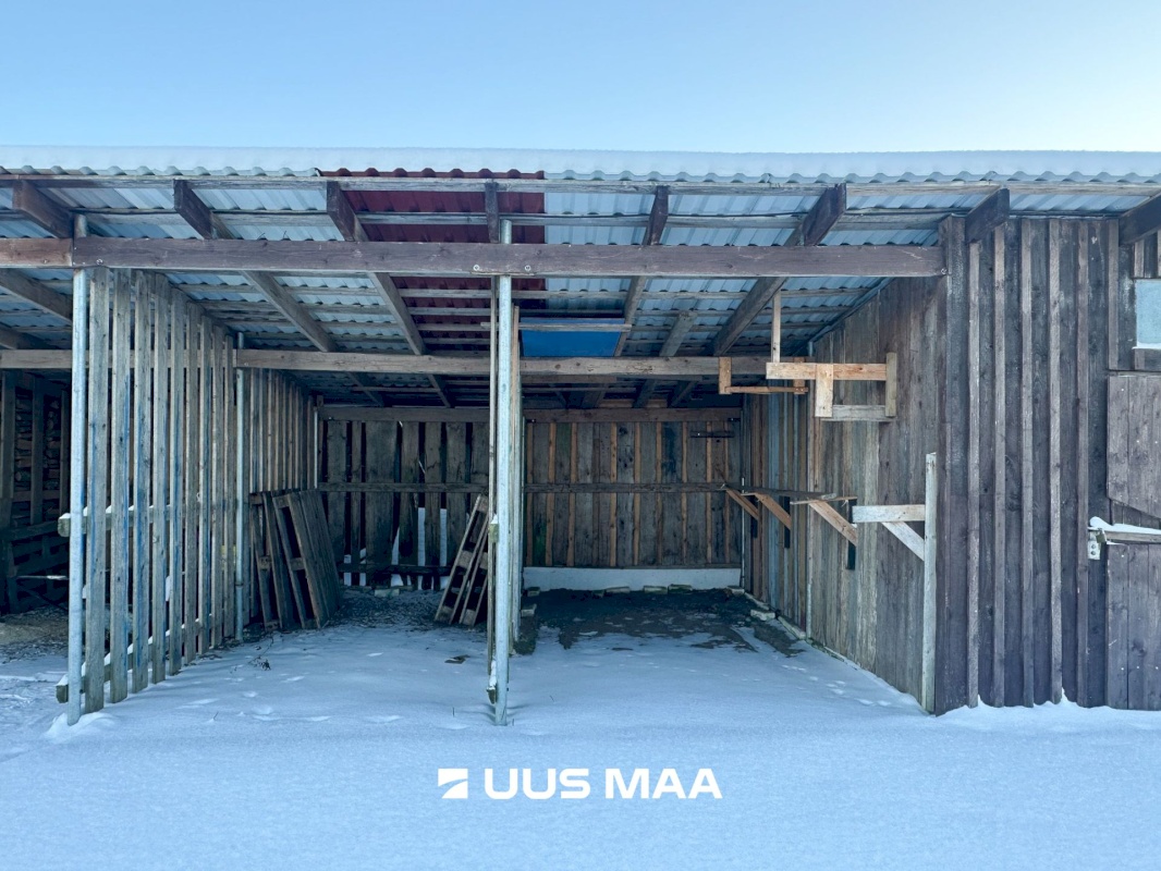 Kadrina vald, Neeruti küla, Allee