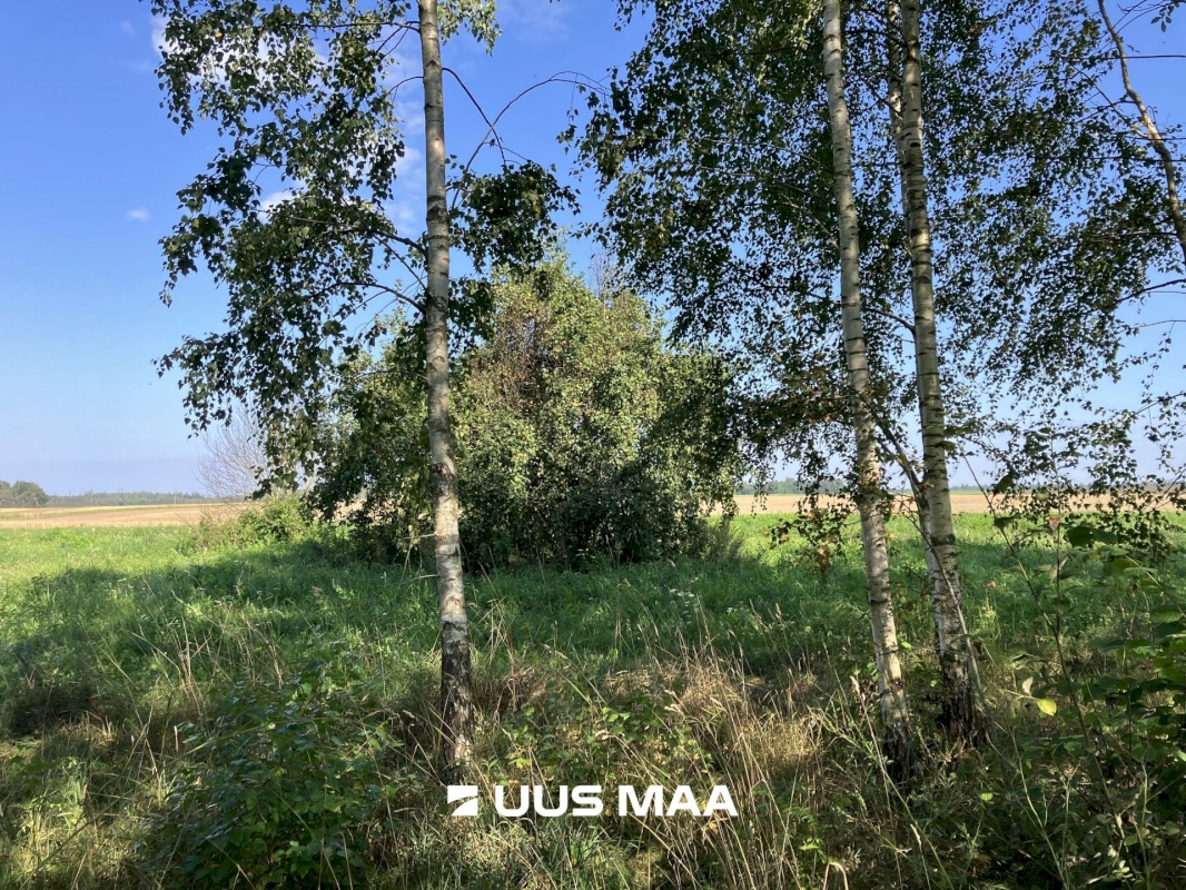 Nõo vald, Nõgiaru küla, Toominga kinnistu