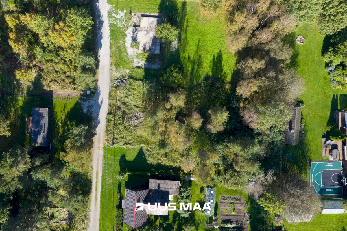 Harku vald, Türisalu küla, Niiduääre tee 9