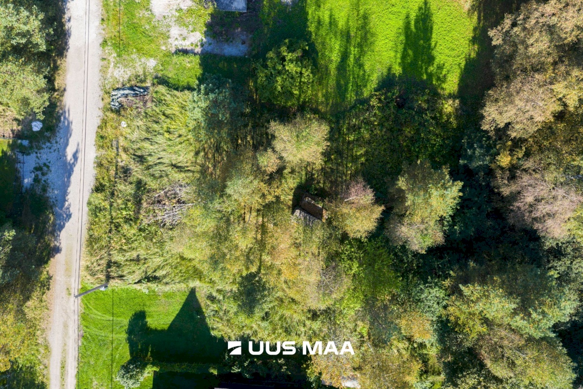 Harku vald, Türisalu küla, Niiduääre tee 9