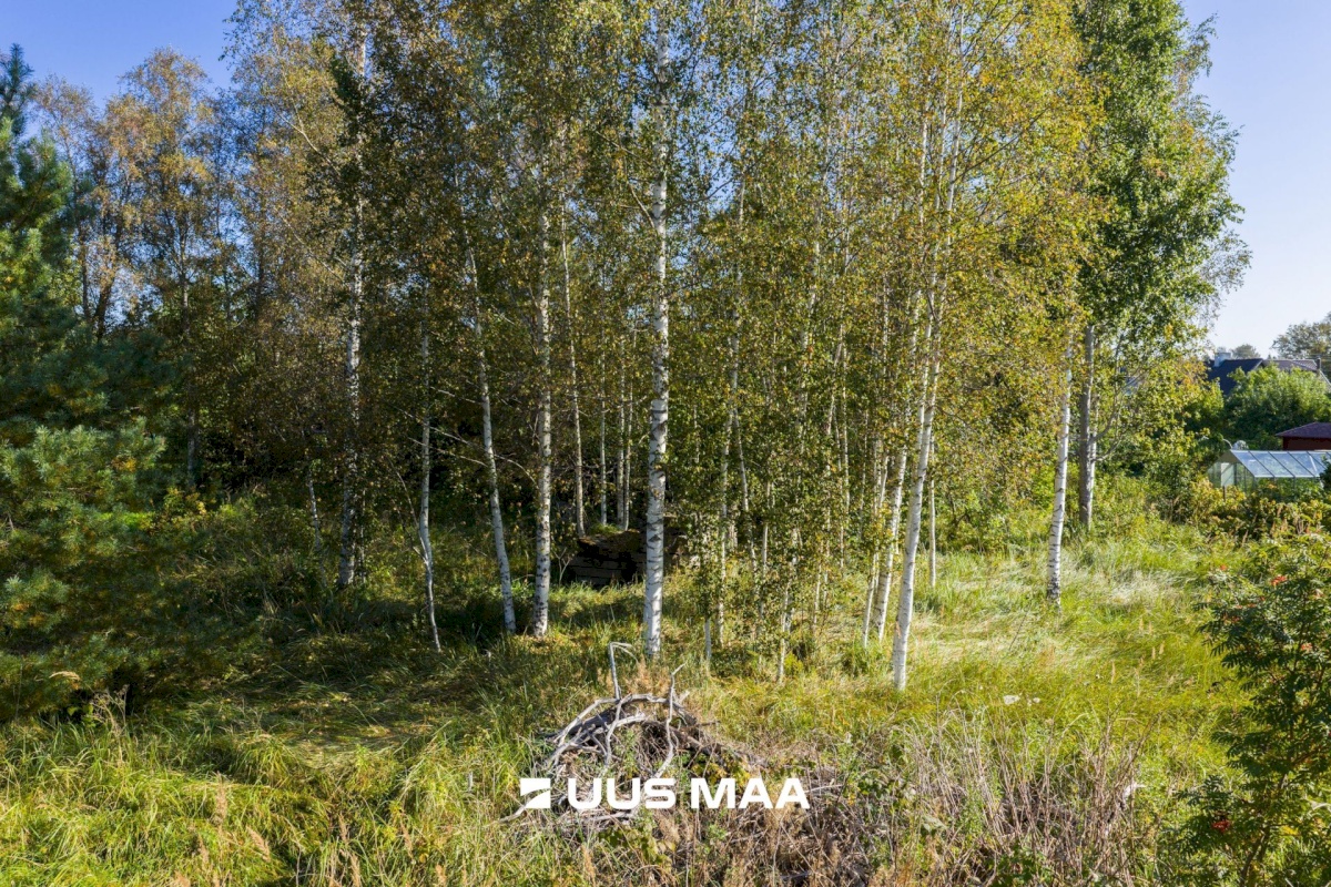 Harku vald, Türisalu küla, Niiduääre tee 9