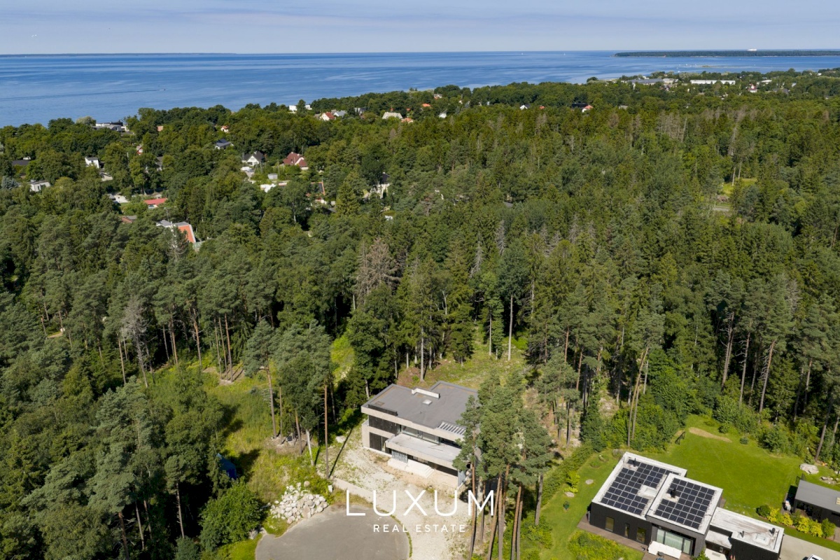 Viimsi vald, Pringi küla, Mustika tee 18
