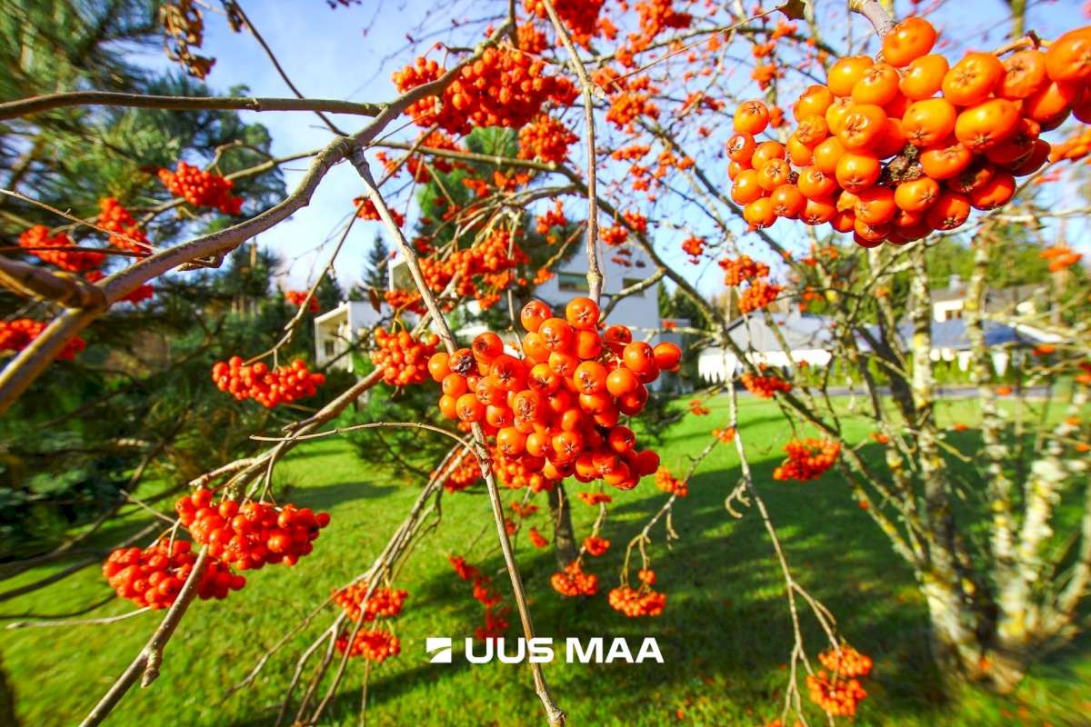 Häädemeeste vald, Reiu küla, Posti tee 34