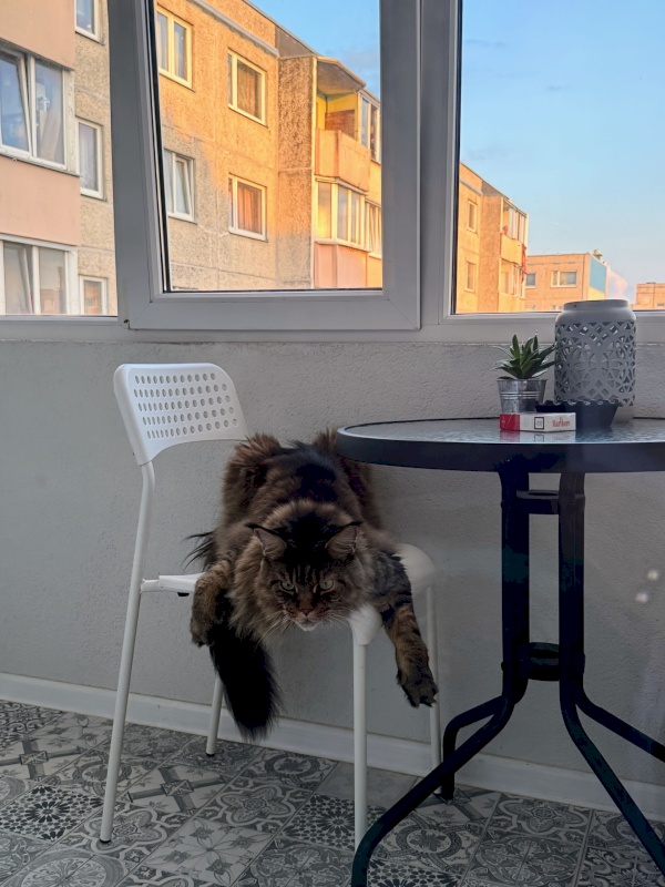 Tallinn, Lasnamäe linnaosa, Kivila 11