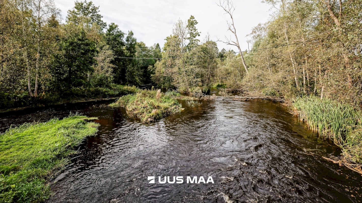 Kohila vald, Vilivere küla, Vesiroosi tn 2