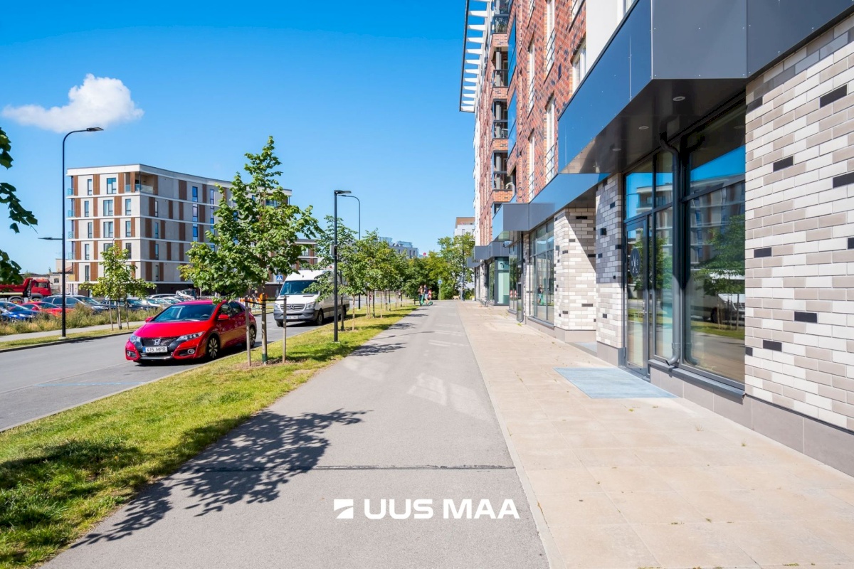 Tallinn, Kesklinna linnaosa, Pille 7/2