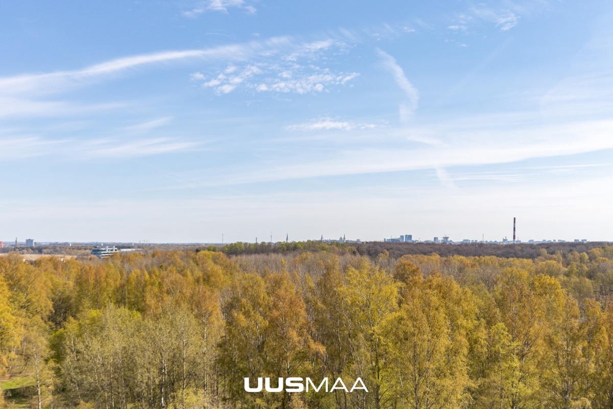 Tallinn, Haabersti linnaosa, Päevalille tn 6 // 8