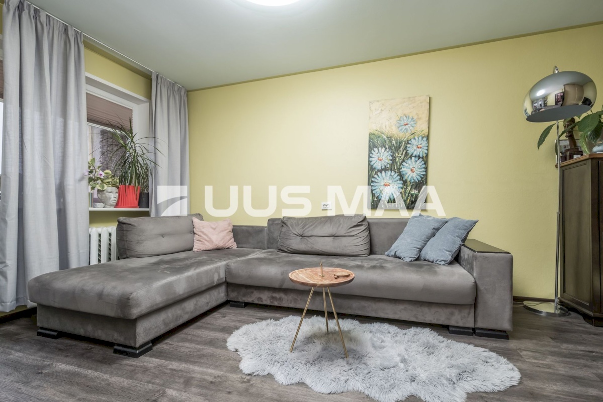 Tallinn, Lasnamäe linnaosa, Punane 21