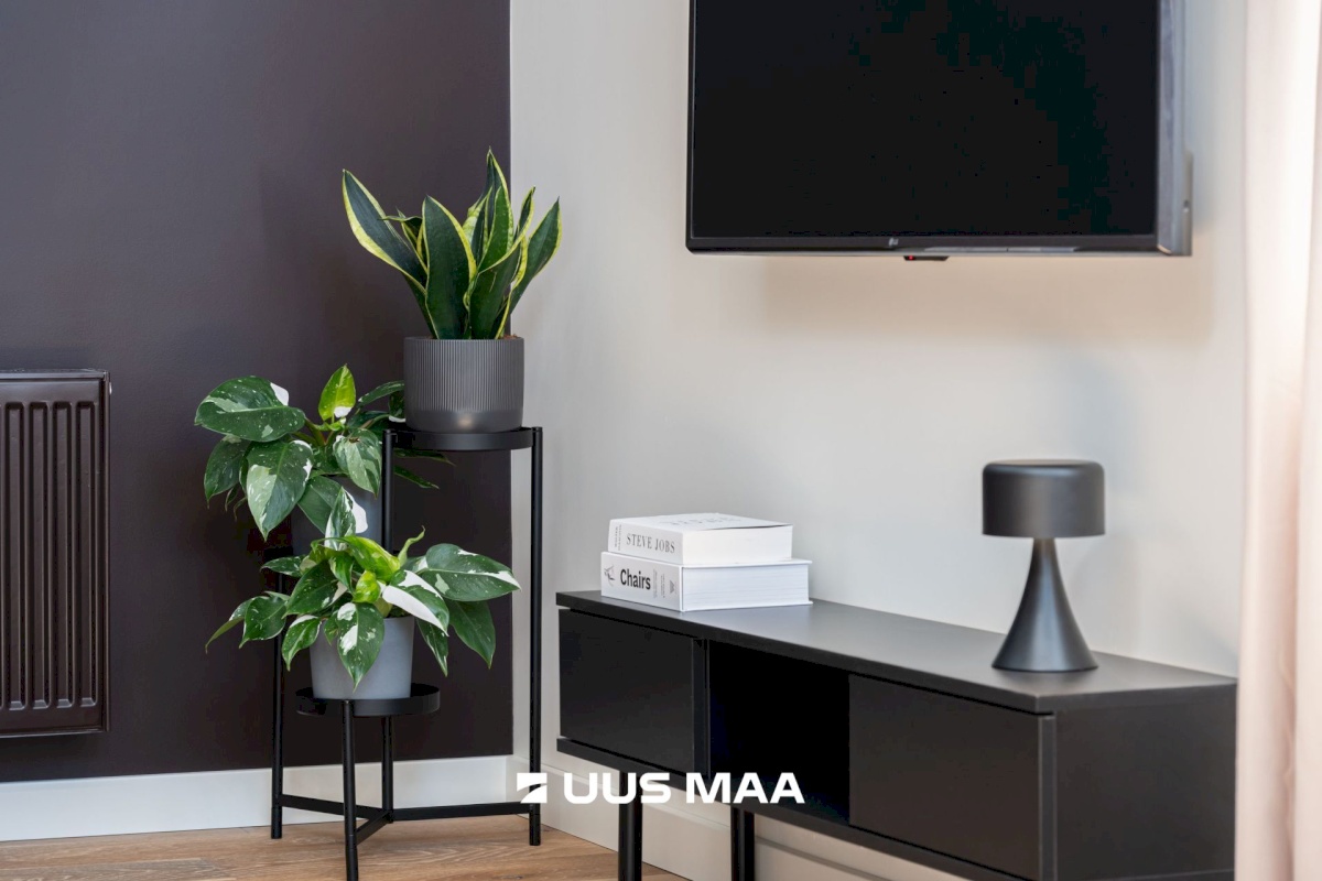 Tallinn, Kesklinna linnaosa, Juhkentali, Juhkentali 32