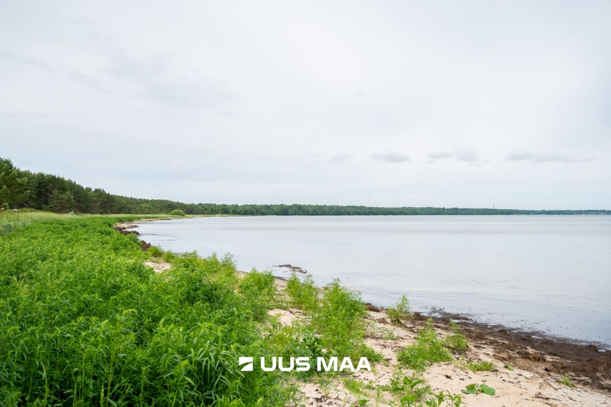 Lääne-Harju vald, Kloogaranna küla, Adruvahi tee 38
