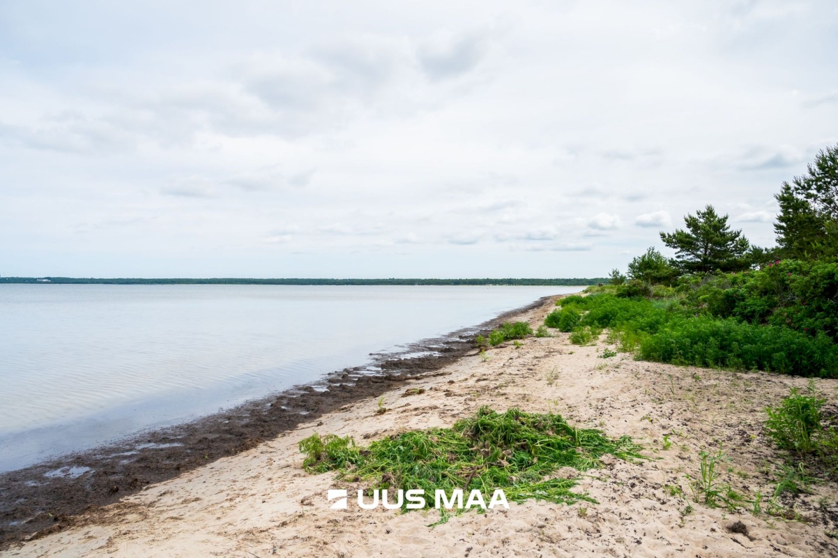 Lääne-Harju vald, Kloogaranna küla, Adruvahi tee 38
