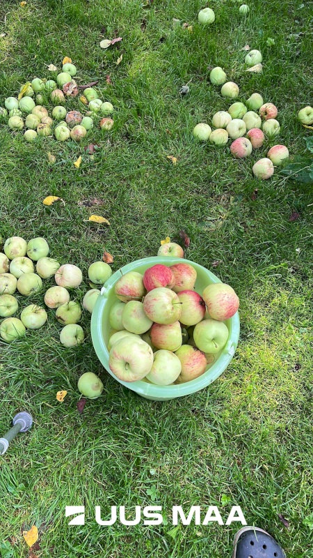 Rae vald, Peetri alevik, Kuusekese 1/1