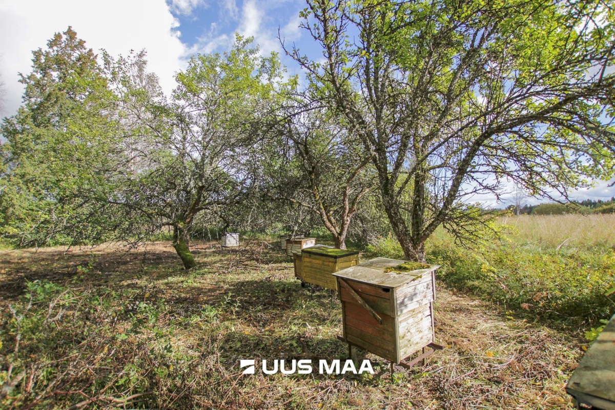 Tori vald, Tabria küla, Kogeri