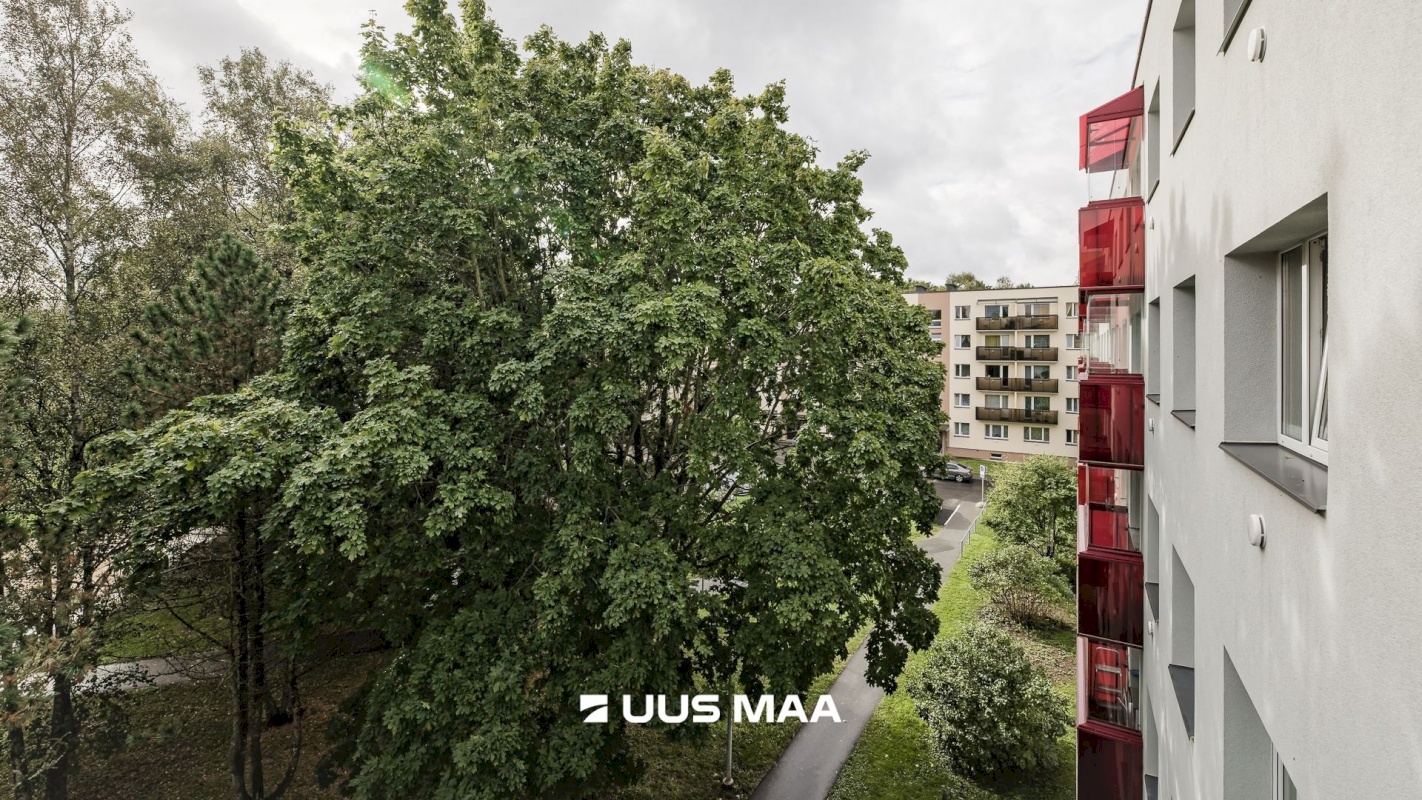 Tallinn, Mustamäe linnaosa, Siili, Siili tn 8