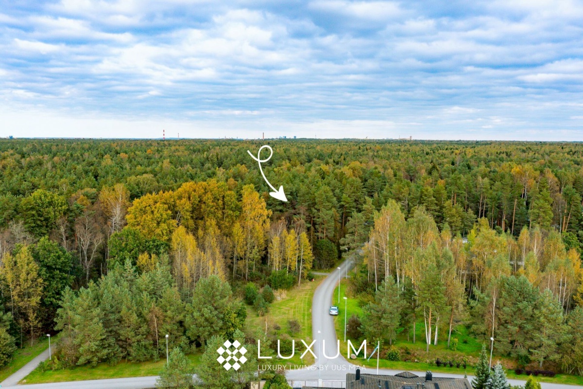 Saue vald, Alliku küla, Võtmeheina tee 20