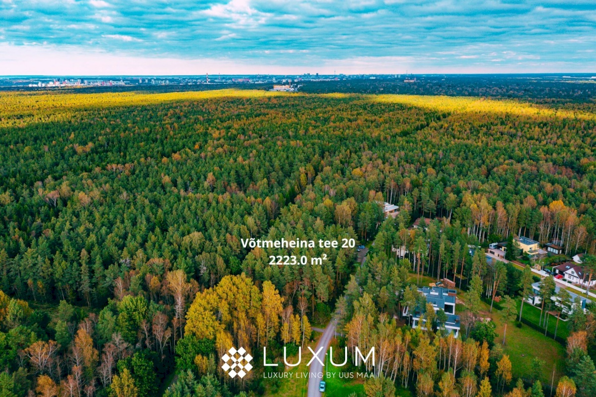 Saue vald, Alliku küla, Võtmeheina tee 20